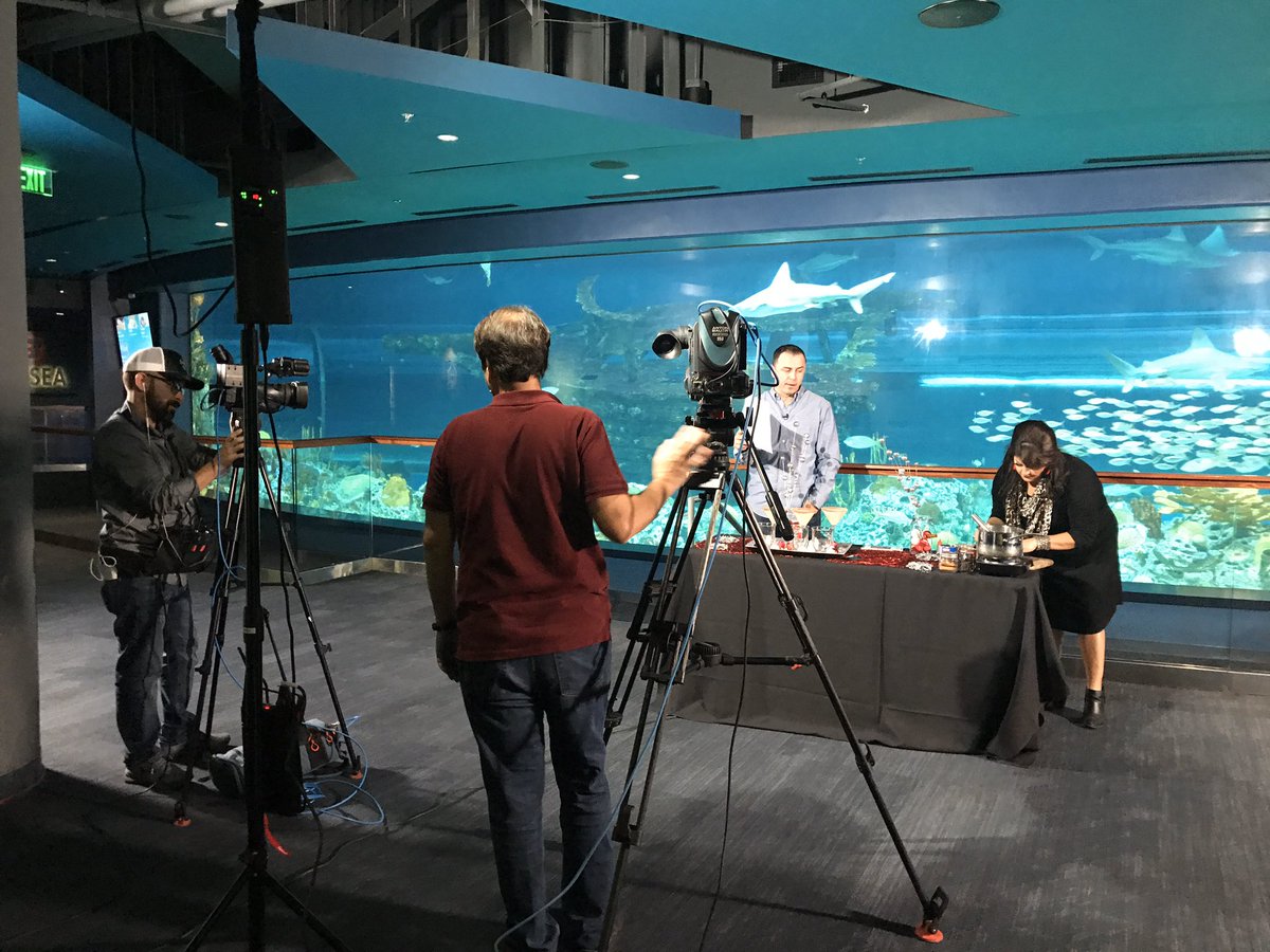 DanielleBandaTV's tweet photo. ‼️ TOUR OF TEXAS ‼️
Just went #LIVE on-the-air for #Daytime with #EstebanSolis from the #TexasStateAquarium in #CorpusChristi 🎥🎞📺
#TvHost #Influencer #Vlogger #DanielleBandaTV #LifestyleShow #EntertainmentTV @watchdaytime @MADE_FILMS #SinclairBroadcast #SyndicatedShow https://t.co/ouBIW9uA5m