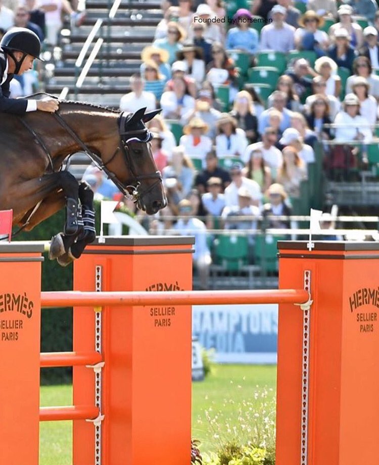 InProEvents's tweet image. When our seating gives everyone a #frontrow. Equestrian events are sometimes better seen from higher up. This is from our grandstands at the @hamptonclassic.

#frontrowseating #hamptonclassic #hamptonclassichorseshow #equestrianevents #thehamptons #horseriding #nyevents