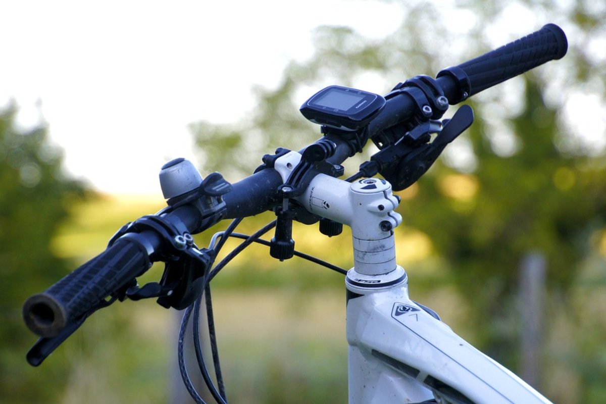BikeBarnPhoenix's tweet photo. Take life by the handlebars. https://t.co/m1ebUeEgX0