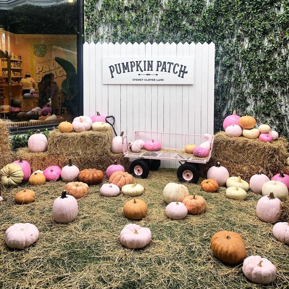 Palm Beach Pink Pumpkins, we’ll take two 💕 Happy Halloween!