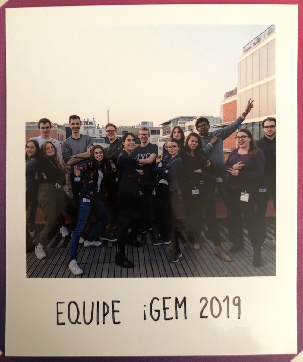 iGEM Pasteur comes back from the Giant Jamboree ! We scored a Silver Medal, were nominated for Best Entrepreneurship and congratulated for best Biosafety and Biosecurity practices 🏅
Many many thanks to all of you who supported us in this adventure 🥰🙏
#iGEM2019 #synbio #diane