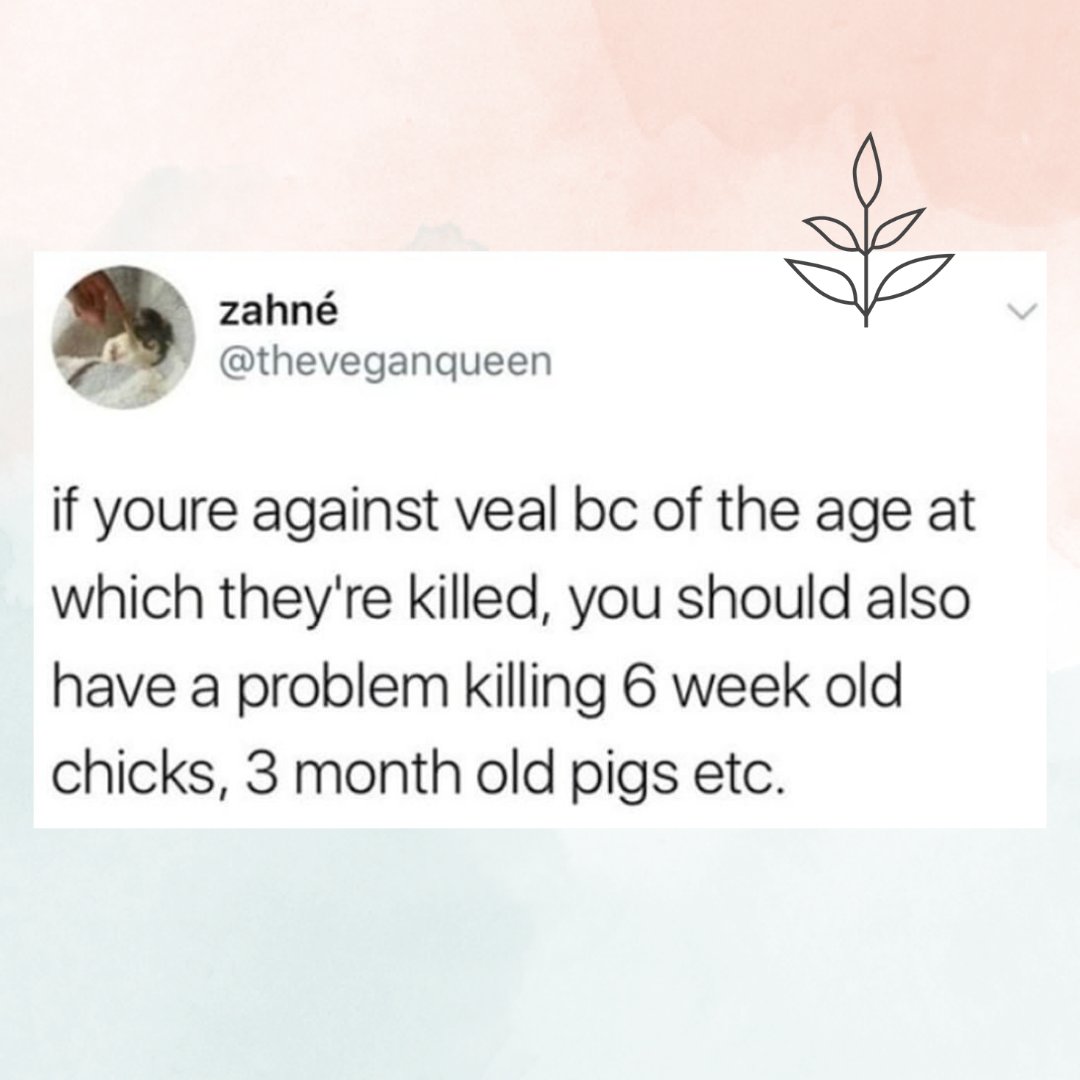 They are all just babies 😢 <a href="/theveganqueen/">spiritual rat</a>