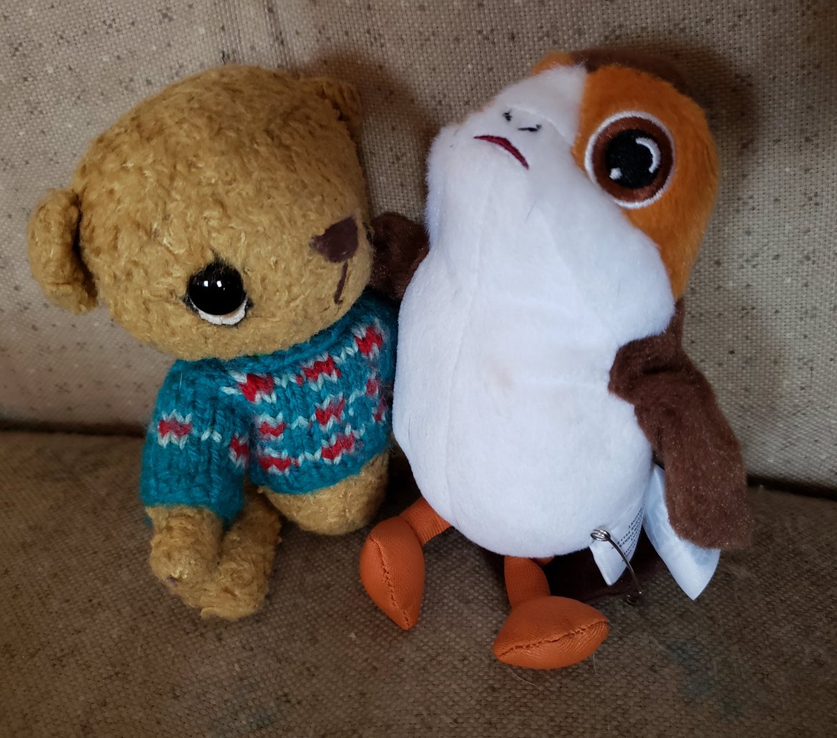 Hello everyone!! I haven't posted in awhile, but I wanted to share with you this photo of a hug from Darwin Porg celebrating #HugABearDay! #TheHugHouse #teddybearorphans