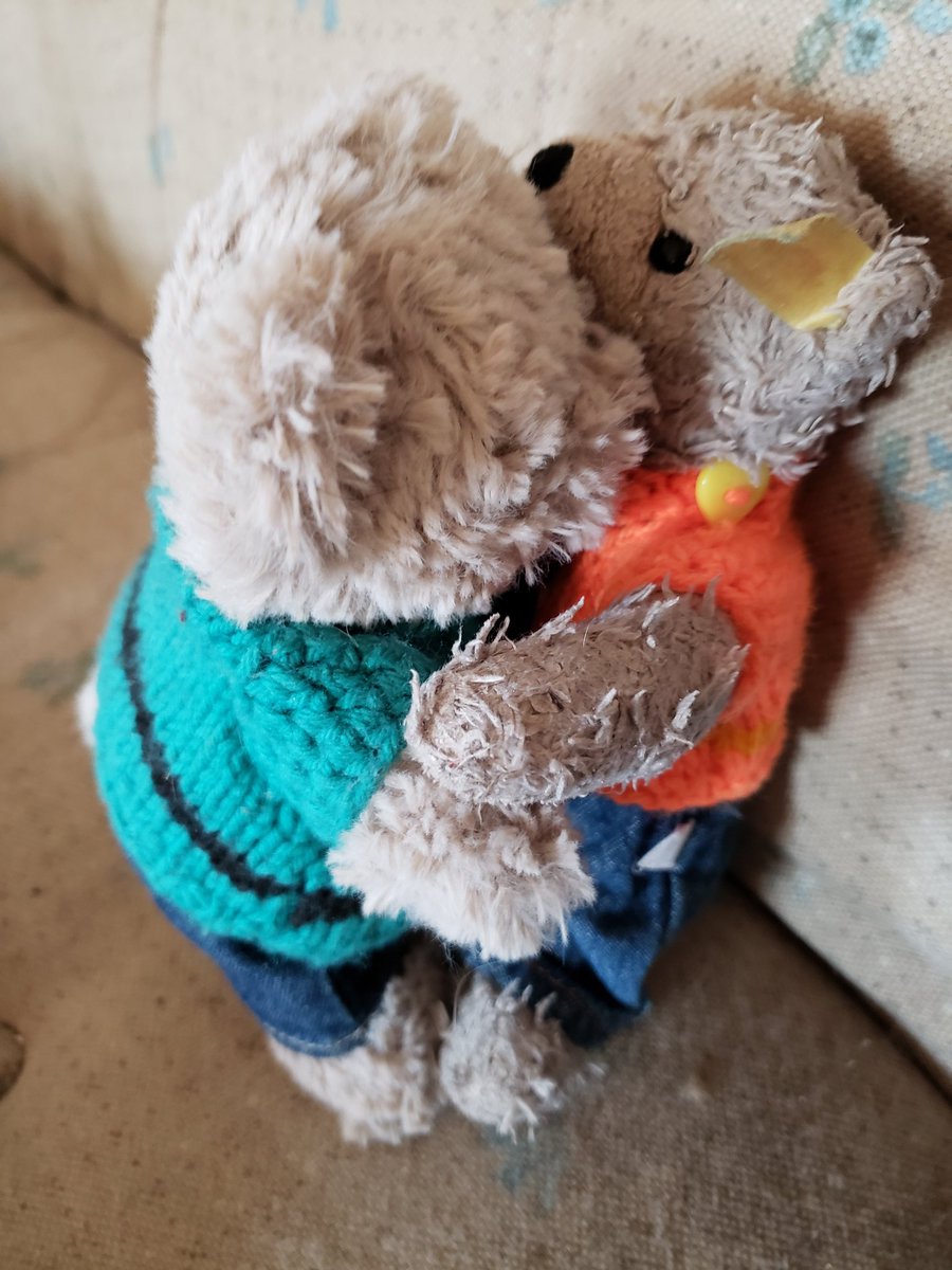 🐻 Howie Steiff 🐻 tweet media