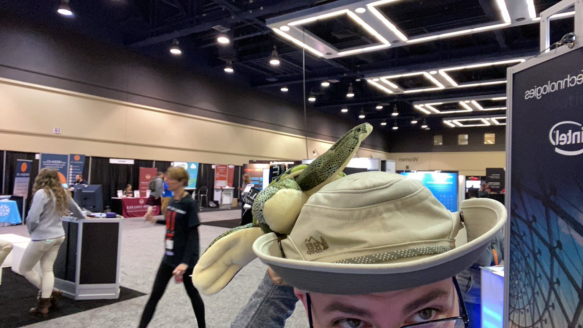 sqlhat's tweet image. I've teamed up with @DellEMCStorage in their #ProgressMadeReal mission to create environmentally friendly #technology! They're donating $2 to the @OceanicSociety for every 🐢 they've distributed in the booth at #PASSsummit! @Dell4Impact bit.ly/2VEEq92