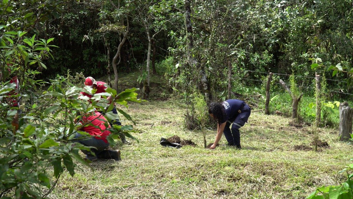 Bomberos Timbio participe en actividad de reforestación  en la bocatoma del acueducto de Timbio Cauca.
Un trabajo en pro de la principal fuente hídrica de este municipio el cual se realizó de la mano con personas de #emtimbio #gobernaciondelcauca#instsanantoniodepadua