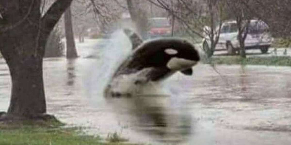 madting just seen this down eccy road