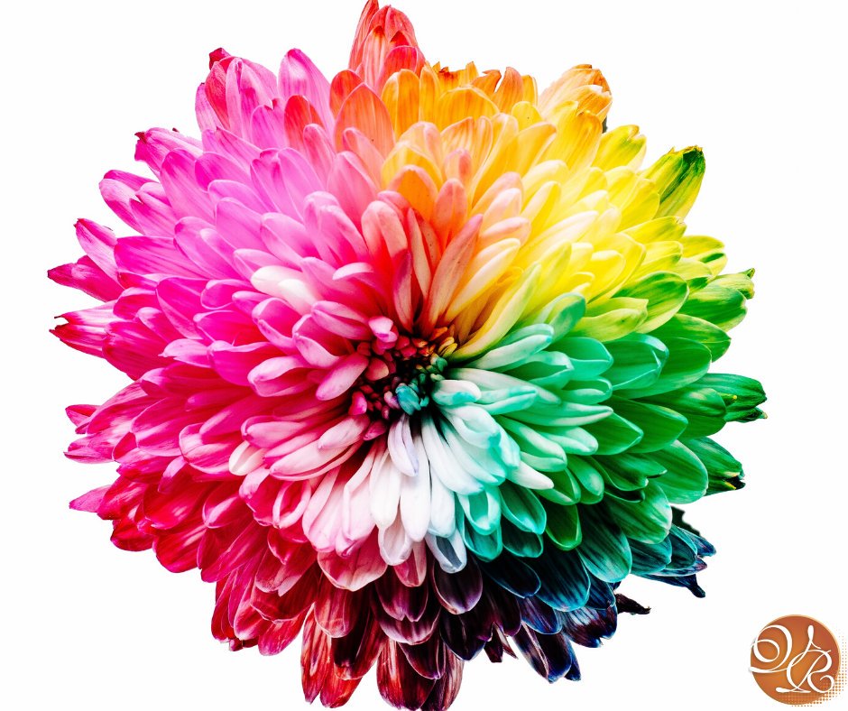 VisualResolve's tweet image. There's so much emotion connected to colour.
What colour do you feel like today?
#colour #graphicdesign #visualresolvegraphics