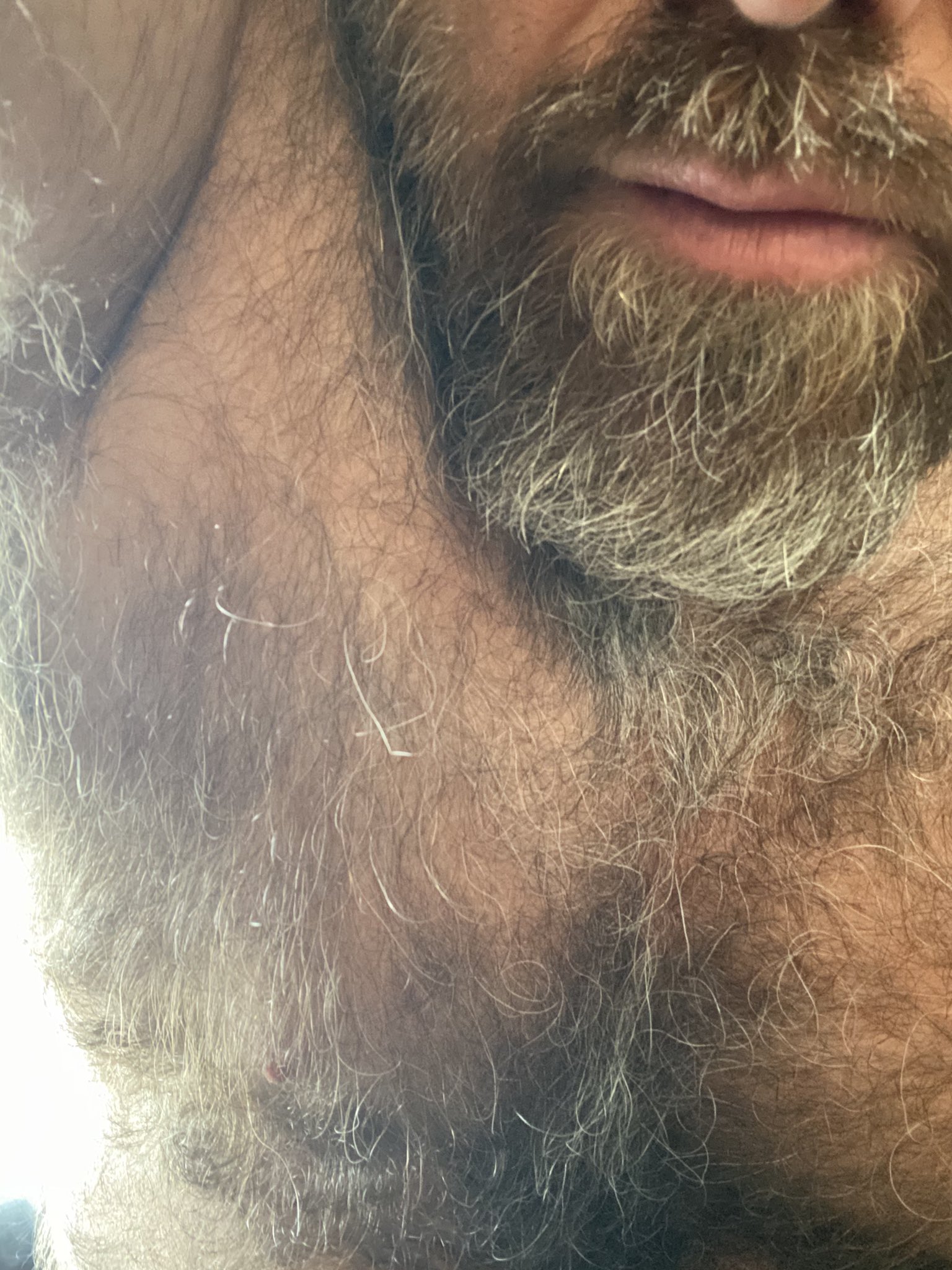 I'm Alan & Im hairy on X: Intense layers of thick body hair for ya, I need  brushing 😂 #armpit #hairyguy #hairydaddy #furrybeef  t.coiyejITUJpl  X