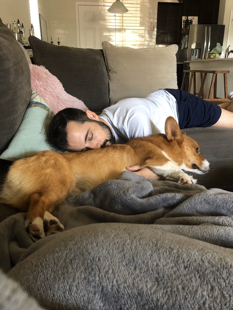 TheCorgiCheddar's tweet image. Who loves naps?
