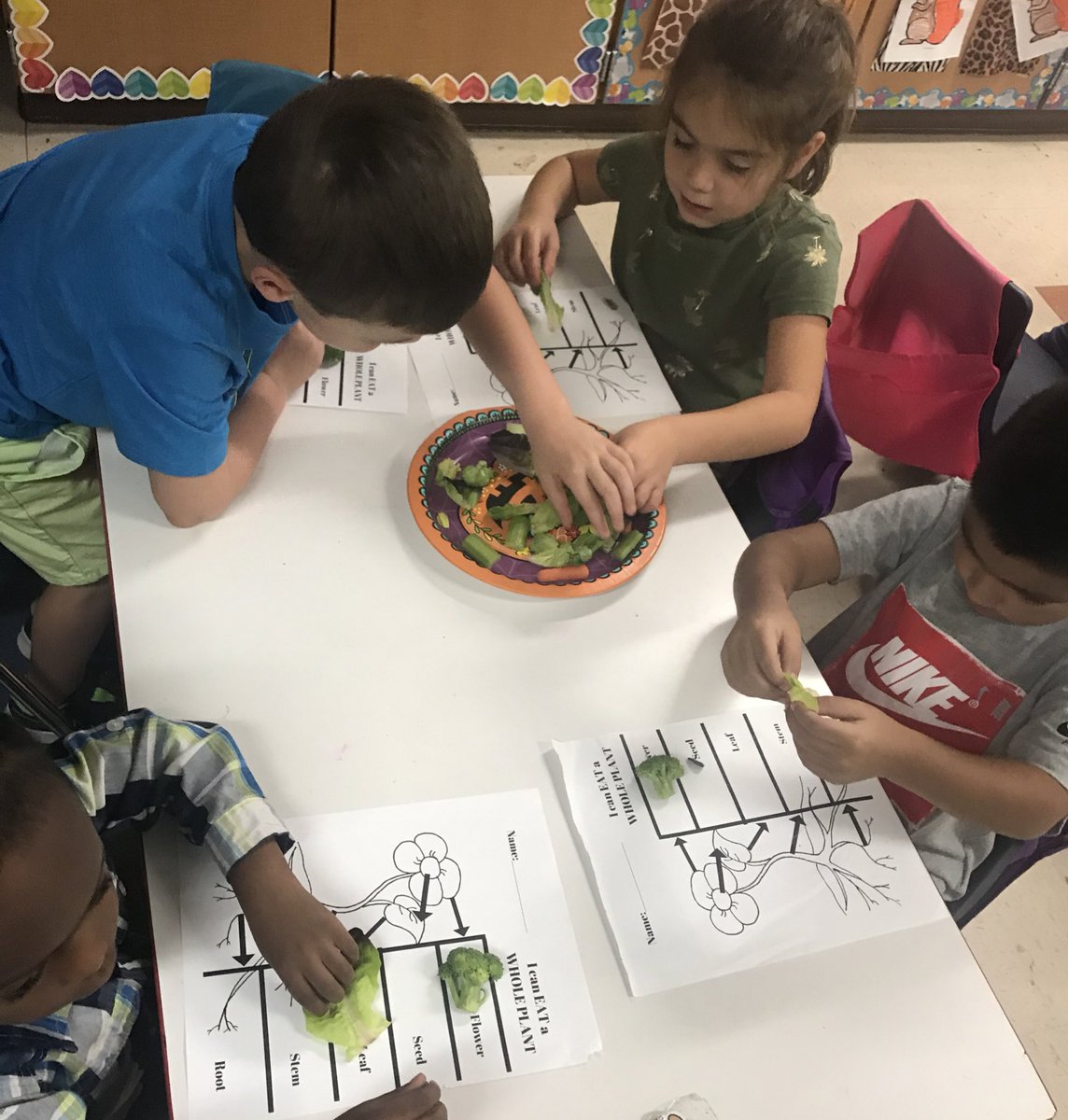 Toledo_ASE's tweet photo. Wait....we eat parts of a plant?! 😱🤯They were shocked! 🥦🥕🥬 #WebbElem #WeAreNavasota @Webb_Elem https://t.co/E3FjLv1PwK