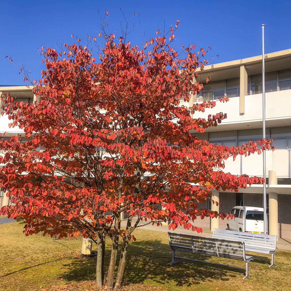 島根県奥出雲