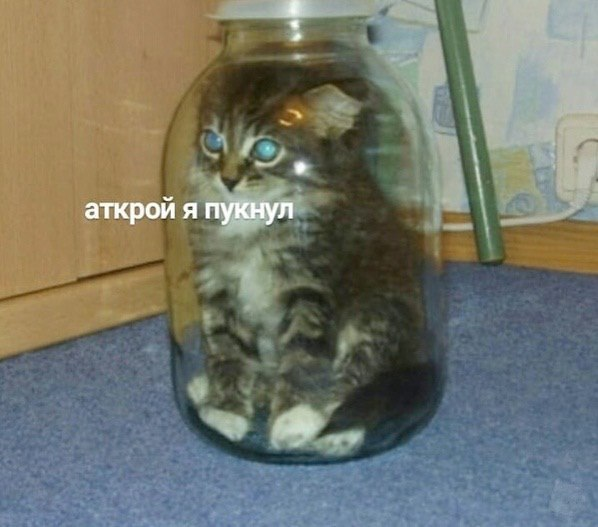 EIzAlpxXYAEElYh?format=png&name=small