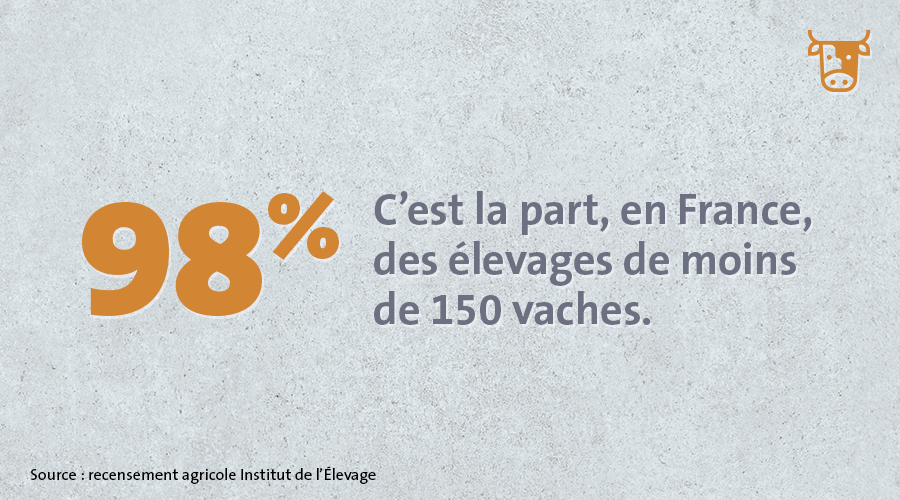 LesFlexitariens's tweet photo. Les #élevages herbivores 🇫🇷 sont des élevages à taille humaine avec un lien très fort entre l’éleveur et ses animaux, et une très forte autonomie alimentaire. Les élevages comptent en moyenne 60 vaches ou 80 brebis par exploitation. https://t.co/NjLxtg6Vwe