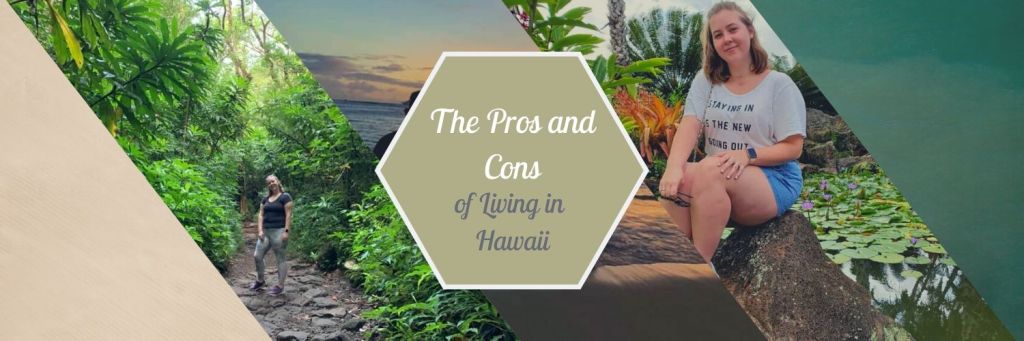 The Pros and Cons of Living in Hawaii autumnyearlong.com/2019/11/07/the…