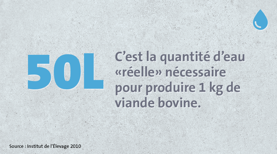 LesFlexitariens's tweet photo. [#EnvoyeSpecial]
Produire 1 kg de #viande de boeuf nécessiterait 15 000L d'#eau. En quoi cette quantité est très surestimée ❓
En réalité, seuls 50L à 70L d'eau en moyenne suffisent.
Explication avec la méthode #Waterfootprint ⤵️ https://t.co/YBNKXZaCQt