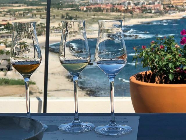 diningdiva's tweet image. The only thing better than this gorgeous view from #Atico rooftop bar @VistaEncantadaResort is taking it in while doing a tequila tasting with Christopher, the sommelier. #loscabo #cabosanlucas #mexico #Tequila ift.tt/33tyU9Y