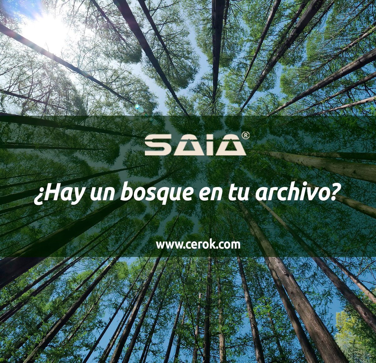 saiasoftware's tweet image. ¿Te has preguntado a cuántos árboles equivale el papel que has utilizado por años? Disminuye el uso del papel con SAIA.

Conoce más en: cerok.co

#GoPaperless #GestionDocumental #SoftwareDocumental #CeroPapelMasVida #MedioAmbiente
