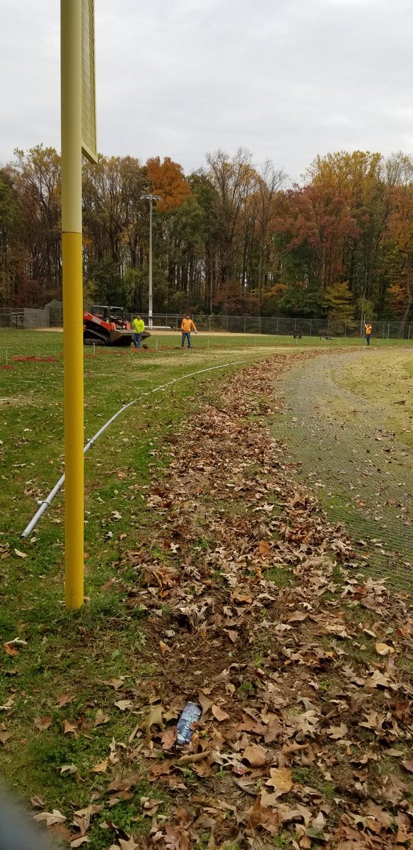 Annandale Atoms Softball tweet media