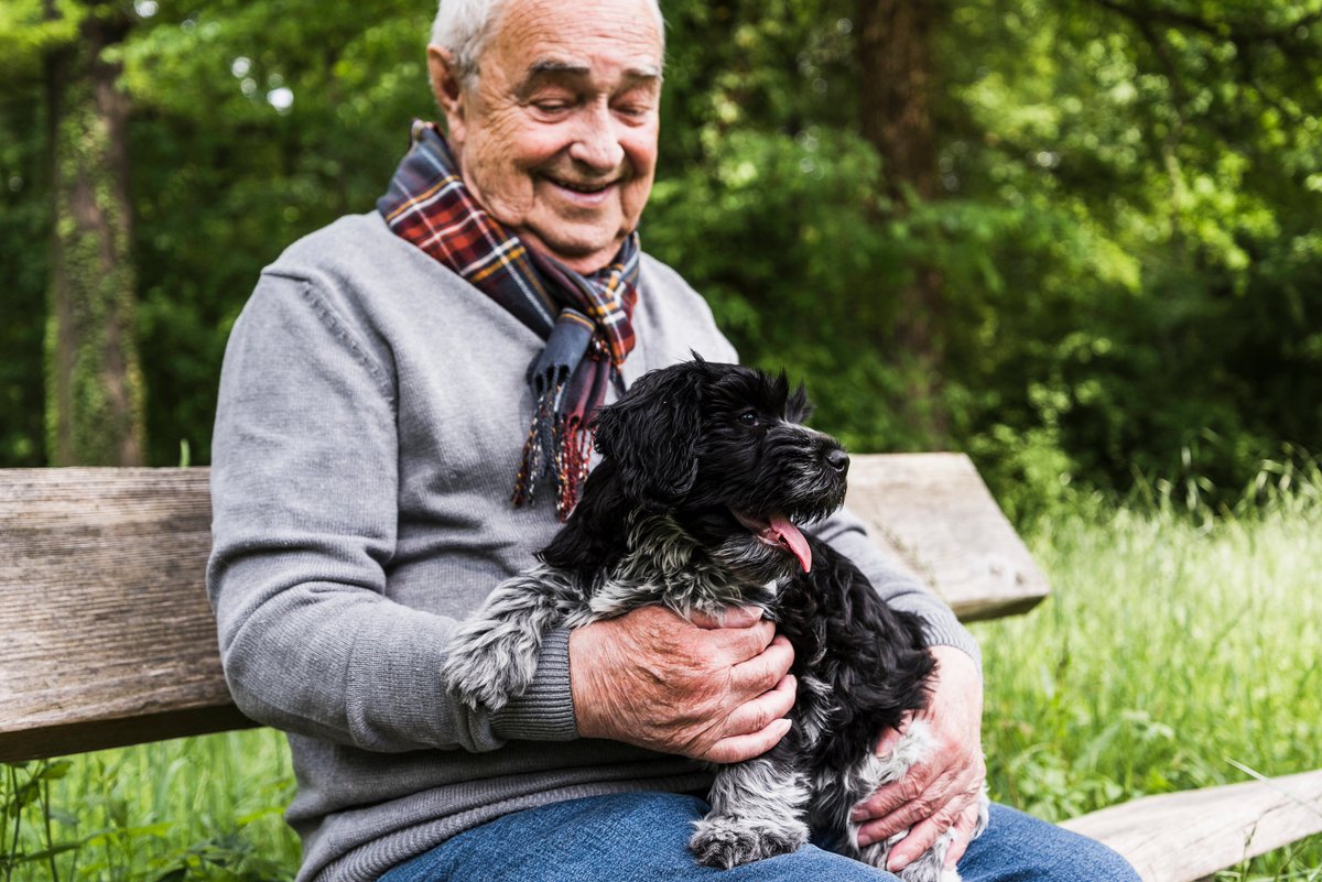 Adoption fees at San Antonio Humane Society will be waived for those 60 or older this Saturday. STORY ➡️ mysanantonio.com/life/pets/arti… <a href="/mySA/">MySA</a>