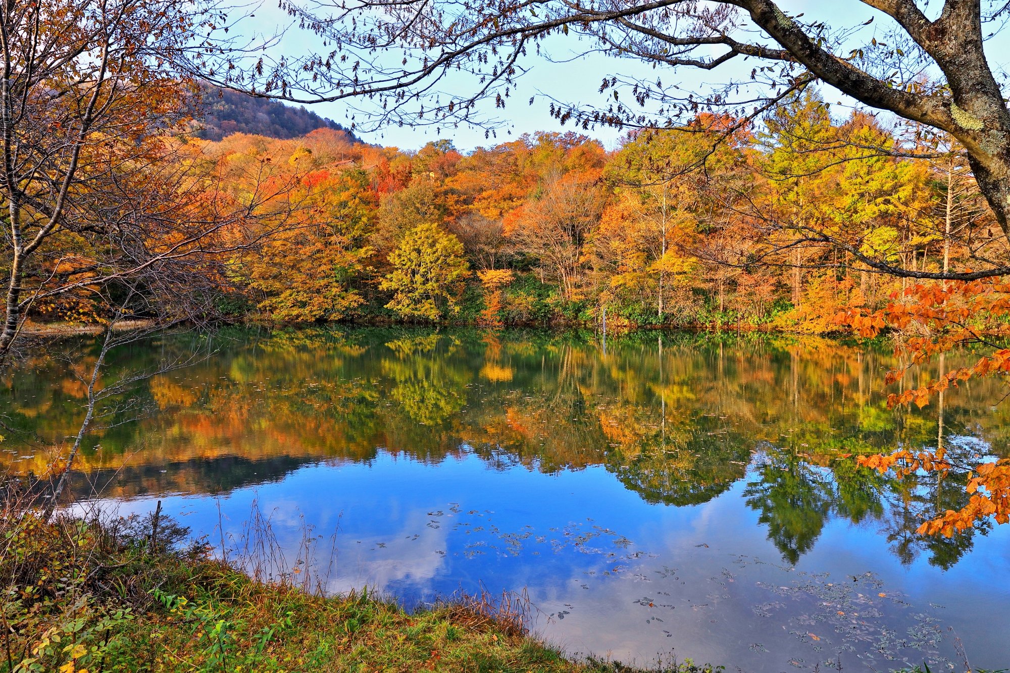 よっちゃん おはよう御座います 愛知県茶臼山高原の紅葉最後です 見て頂き沢山の Rt ありがとう御座いました どちら様も素敵な週末を また来週 茶臼山高原紅葉 T Co Euv2hief0e Twitter