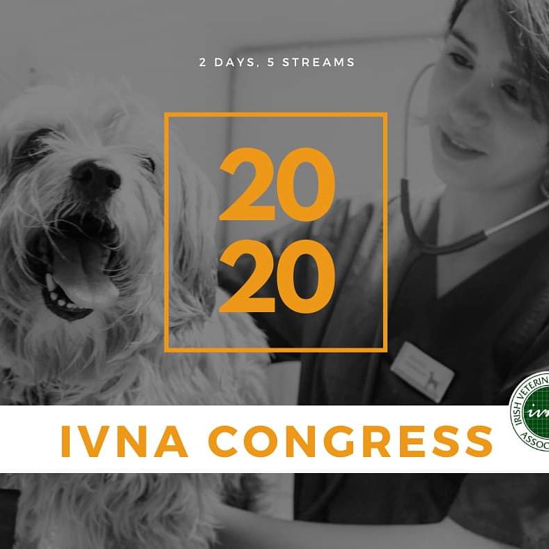 Registrations opening soon, keep a look out and don't miss out on the RVN CVE event of the year 😍😁🐾 #ivnacongress2020 #rvnsdoitbest #rvncve