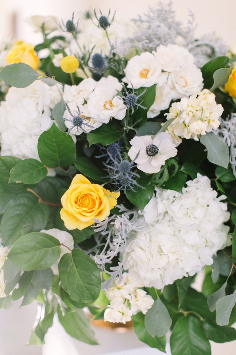 Wishes Granted 💍

Throughout Angela’s battle with cancer, love &amp; positivity bonded them together. With the help of our November Charity <a href="/WishUponWedding/">Wish Upon a Wedding</a> we were honored to help design the memory of a lifetime for Angela &amp; Brad last December. 

Read more: bit.ly/33s6AF7