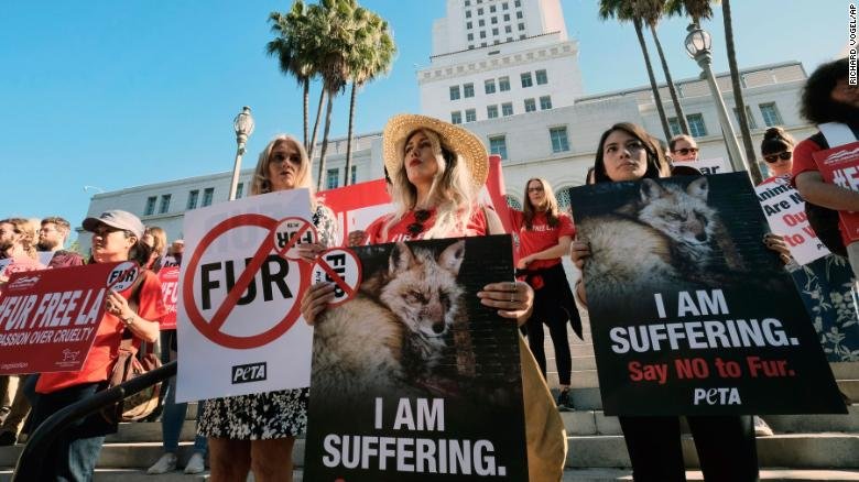 CoalitionLA's tweet photo. October was a historical month for animal rights in California! California became the first state to ban fur products in the country and we couldn’t be happier. #furban #furfreeCA

Read more…https://t.co/HfI6K9RTLy https://t.co/8gpLITi17b