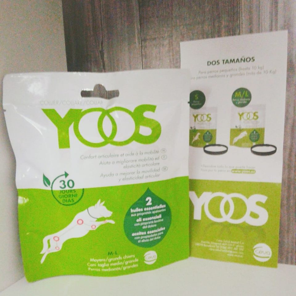 silviavp7's tweet photo. 🐶 Candy ya puede disfrutar del collar Yoos, el primer collar que ayuda a aliviar el malestar articular de los perros de forma natural durante 30 días #collaryoos #lomejorparamimascota #movilidad #energia #alivioarticular #yoos #kuvut #ceva #yooscollar #aceitesesenciales #dogs https://t.co/XKAYQCzyZH