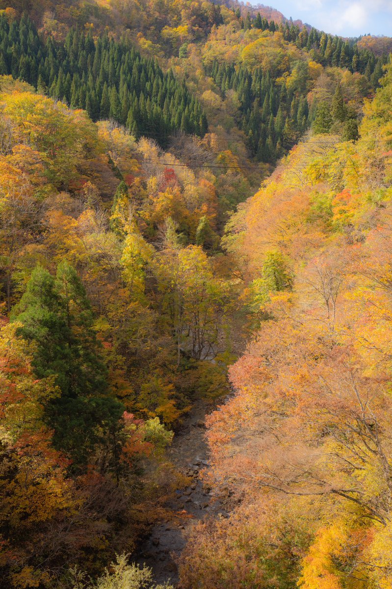 三途川渓谷 三途川渓谷