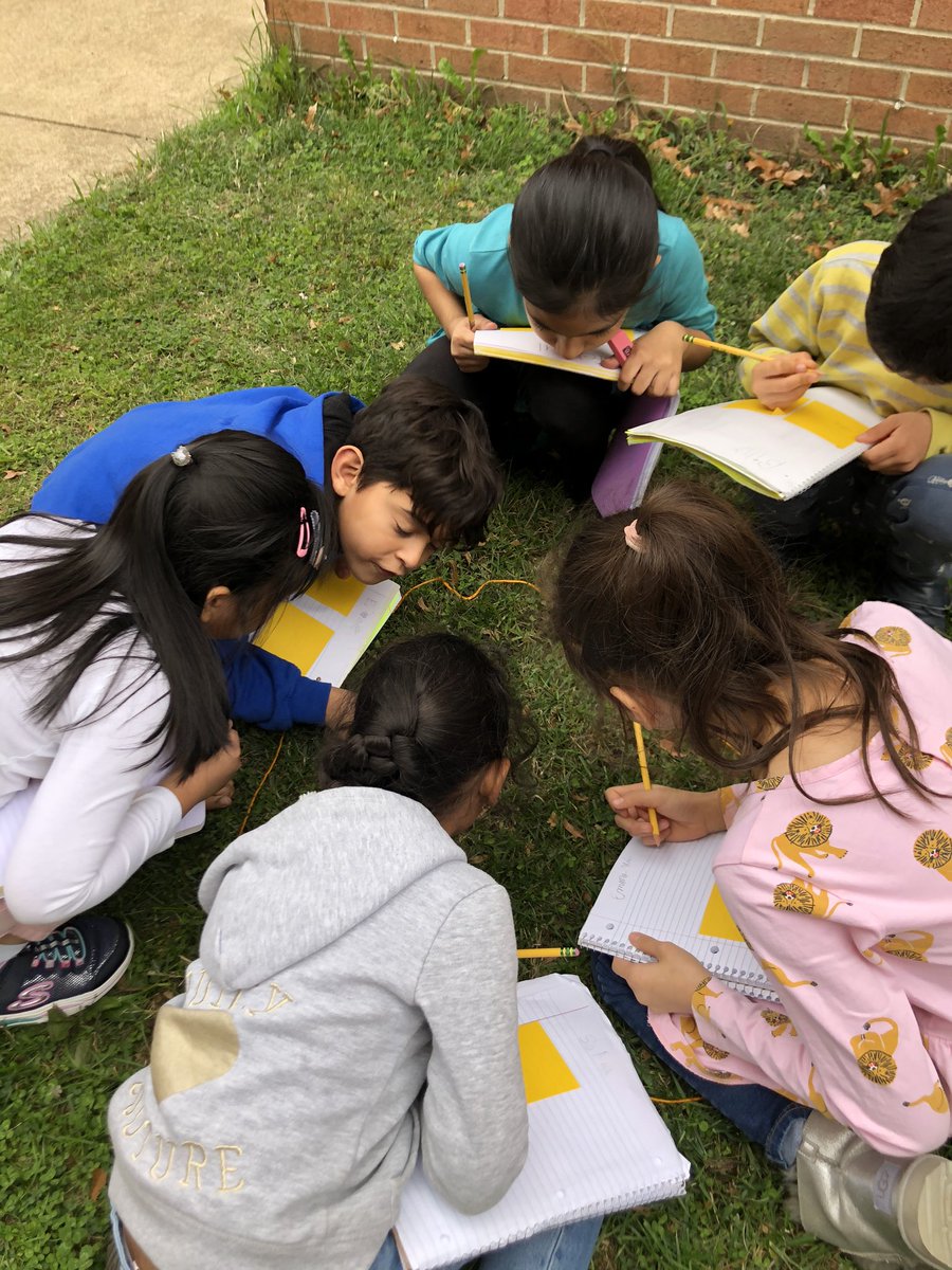 MES_mrsjahnke's tweet image. Today we were scientists observing living organisms and comparing them to the non living things we saw. #scienceiscool #mwes1920 #miniscientists
