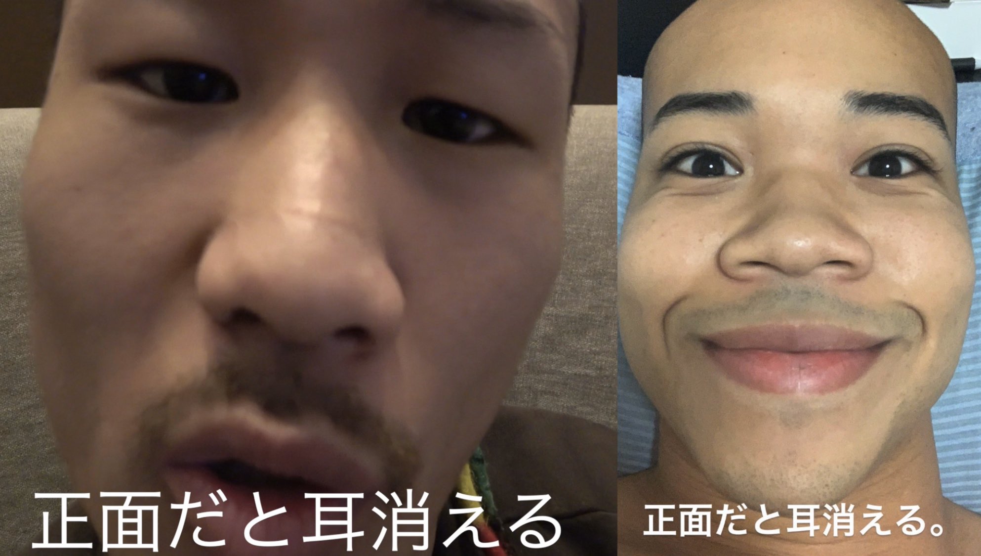 がーどまん 正面だと耳消える がーどまん 正面だと耳消える