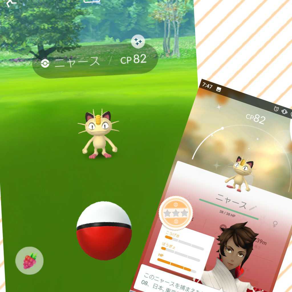 色違いニャース Twitter Search Twitter 色違いニャース Twitter Search Twitter