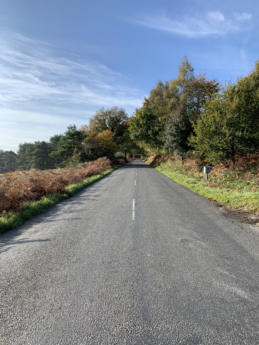 Delirious_Dater's tweet image. When my head feels a scrambled mess and feel I’ve lost my way....

That’s when I miss someone in my life each night &amp;amp; every day.....

#SingleAndStrong 

But it’s still tough at times😔

Reminding myself that difficult roads often lead to beautiful destinations
#StillSearching