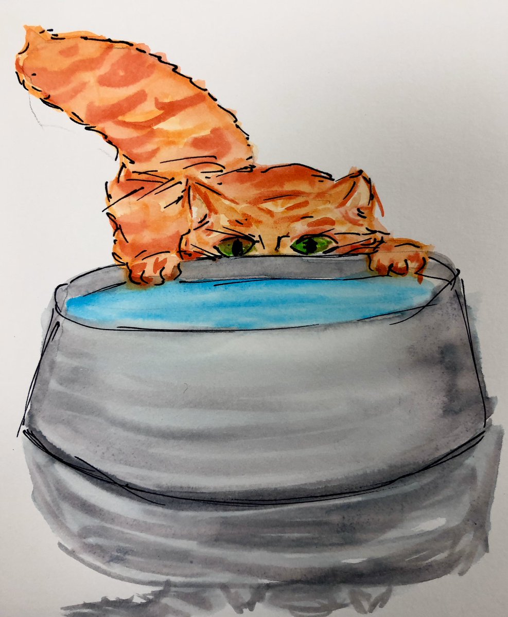 doodlwashNovember2019
#doodlewashNovember2019FunThingstoDraw
Day 6: Water