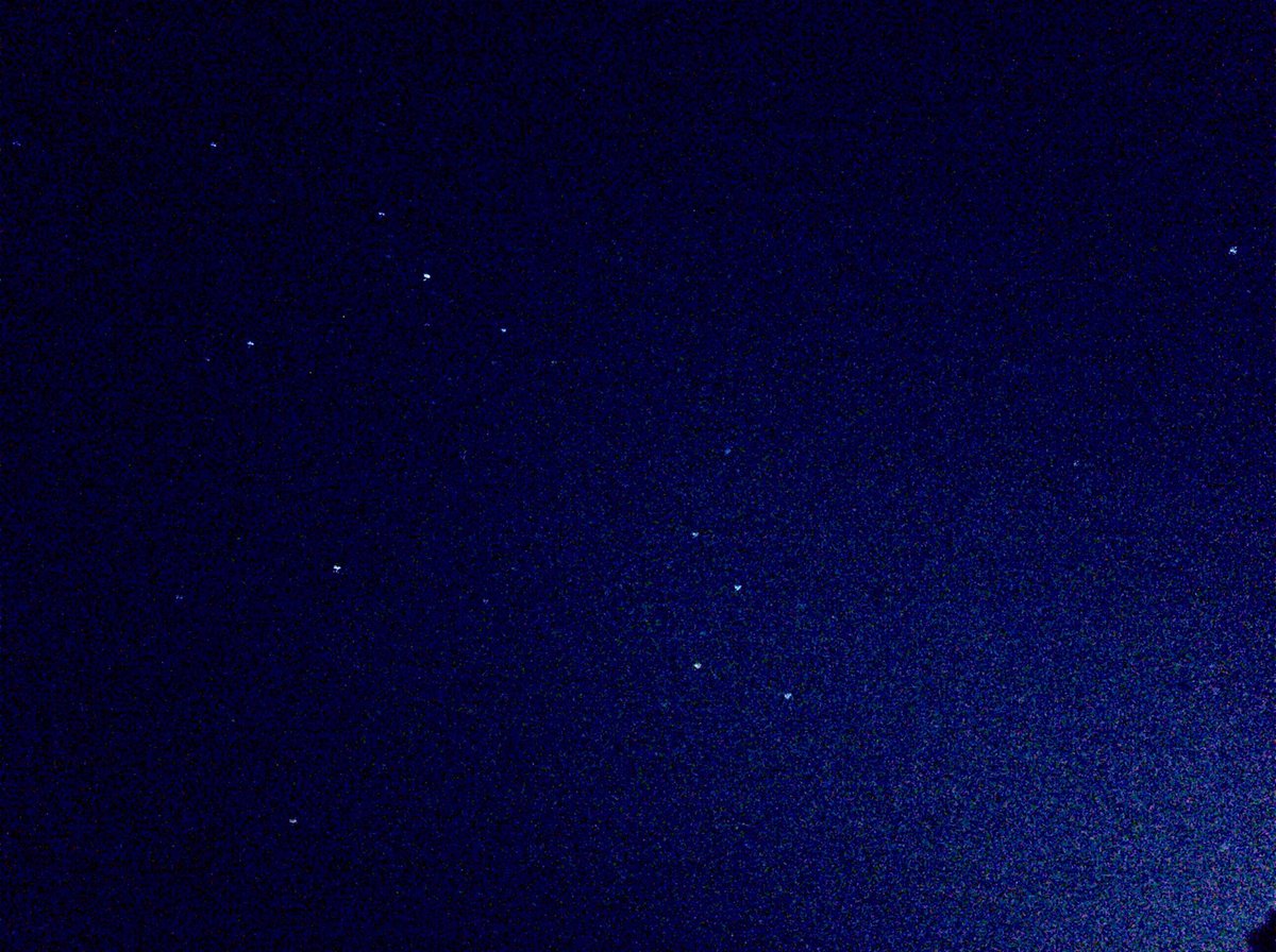 ねなねな V Twitter ペルセウス座 カシオペア座 北極星写ってるの撮れて最高