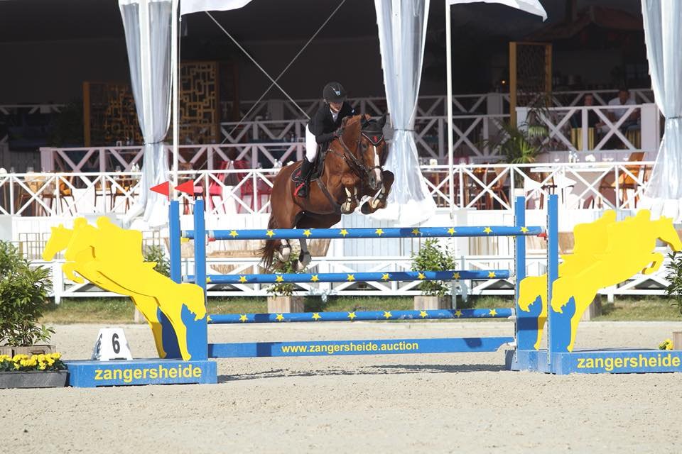 ComfortGutWorld's tweet photo. Customers report that they feel Comfort Gut Ultimate contributes to better utilisation of feed with older horses, hard keepers and is ideal for performance horses under stress &amp; hard work.

#equest101 #comfortgut #emeraldbalms #proequinegrooms #equineblogshare #eventing https://t.co/Alml6P6a1W