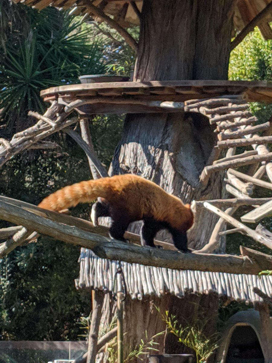 sapph0says's tweet image. We uhhhhh had a gay time in gay town (san francisco)