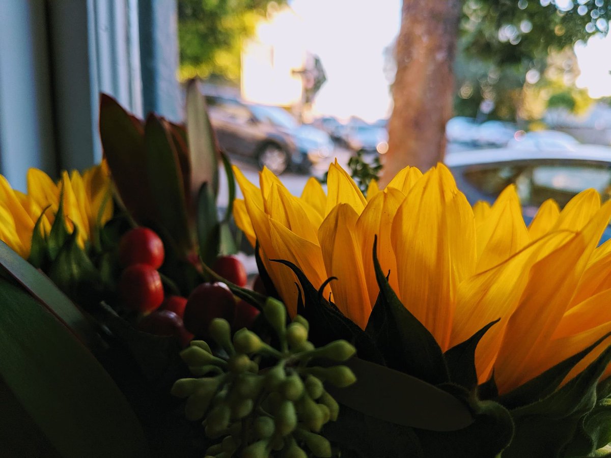 sapph0says's tweet image. We uhhhhh had a gay time in gay town (san francisco)