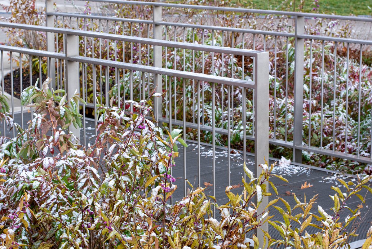 MathStarke's tweet image. Welcome to @Brockport where it is officially #finter 
#fall #winter #photography #mothernature #confused #newyork