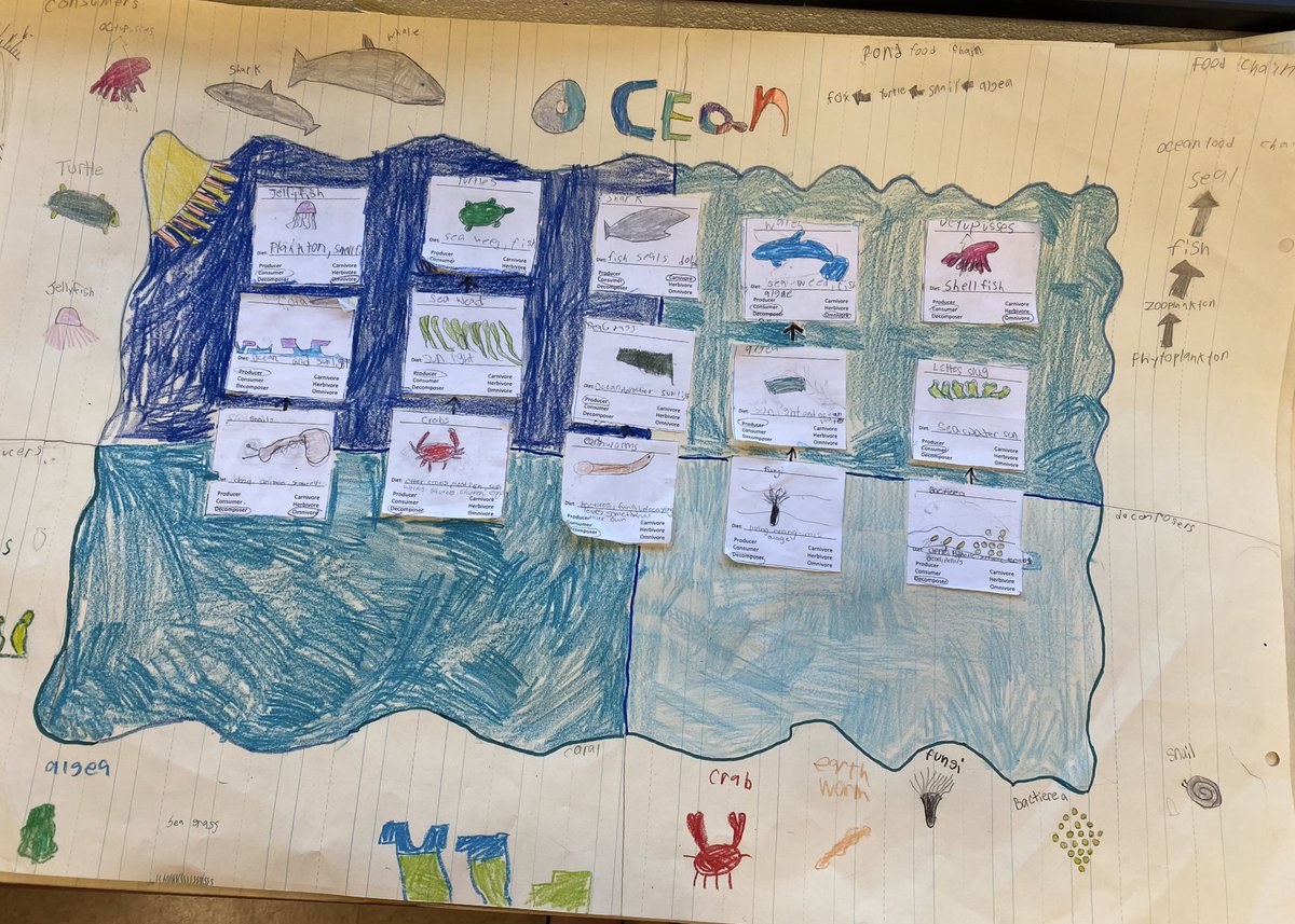 Courtney Oltman (@mrs_oltman201) on Twitter photo 5th grade students <a href="/FolgerAACPS/">Folger McKinsey Elem</a> conducted research on producers, consumers, & decomposers within their chosen ecosystem and made food webs to show how energy flows through ecosystems! We aren’t quite done, but loving their progress and creativity! #AACPSawesome <a href="/AACPS_K5Science/">AACPS Elementary Science Office</a> 5th grade students <a href="/FolgerAACPS/">Folger McKinsey Elem</a> conducted research on producers, consumers, & decomposers within their chosen ecosystem and made food webs to show how energy flows through ecosystems! We aren’t quite done, but loving their progress and creativity! #AACPSawesome <a href="/AACPS_K5Science/">AACPS Elementary Science Office</a>