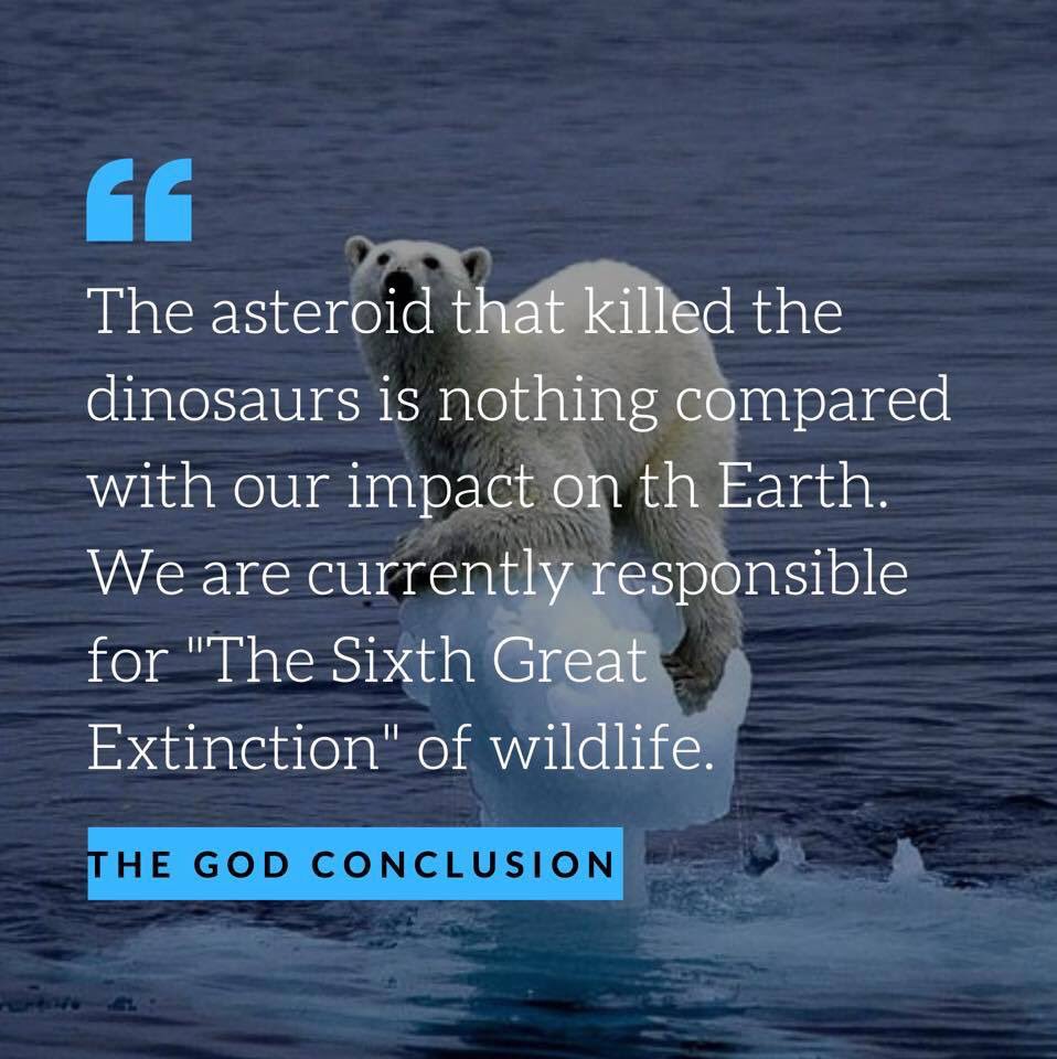 When will humans take major action?

To read more about religion, spirituality and more, check out my book, The God Conclusion, on Amazon Kindle or Paperback 👉 amzn.to/2OFDxWM

Like this post for more content!