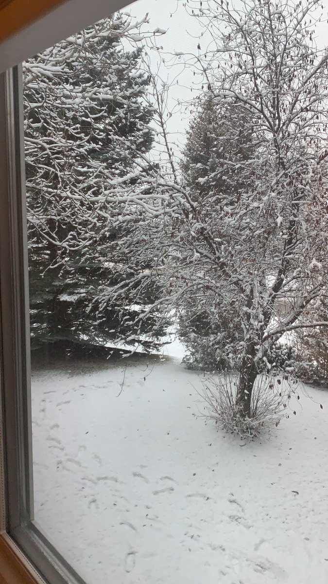 charlotte tweet media