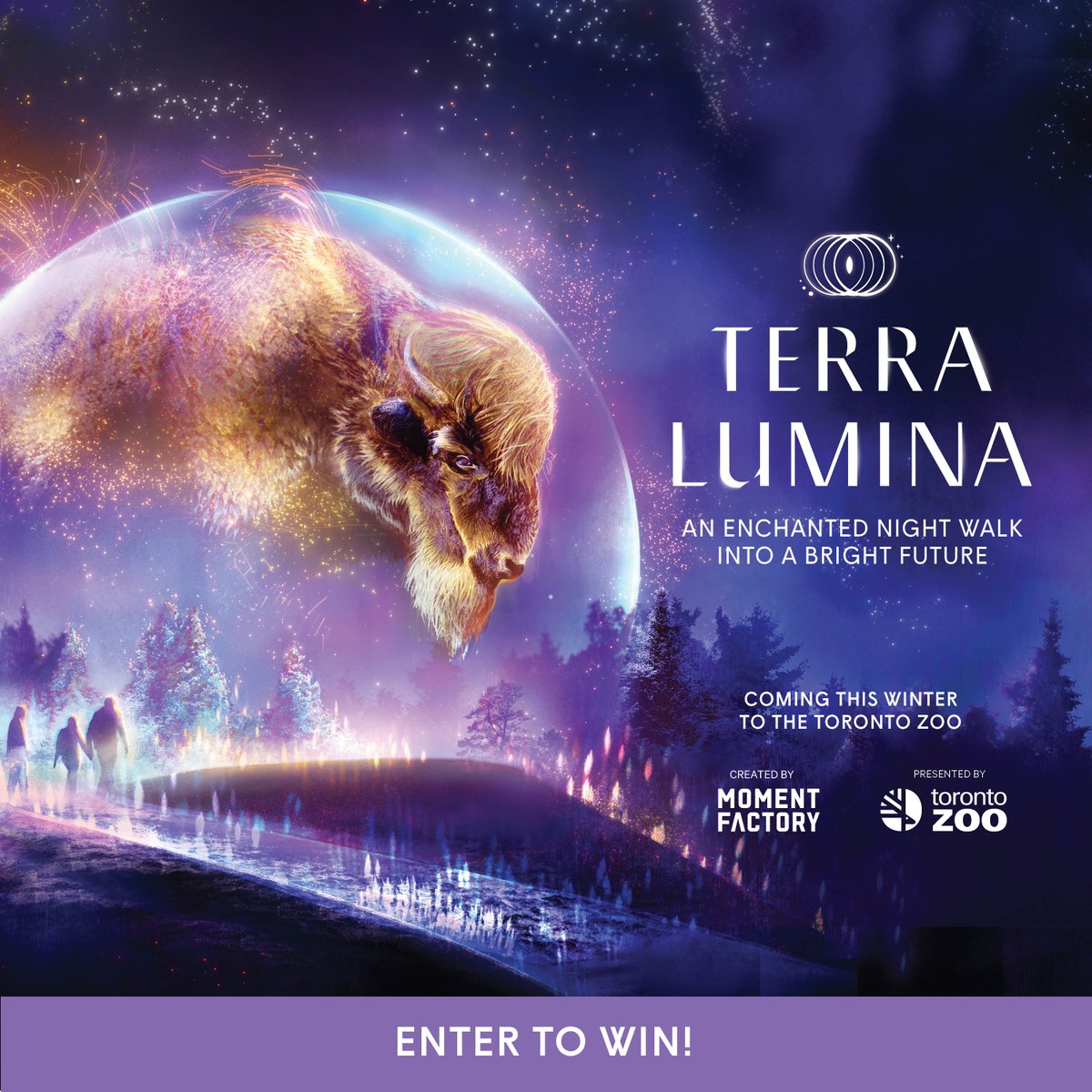 TerraLuminaTO's tweet image. ✨ GIVEAWAY ✨ WIN one of five pairs of passes to #TerraLumina at the Toronto Zoo. 🌎 

TO ENTER: 
✨ Like &amp;amp; Retweet
✨ Follow @TerraLuminaTO

Winner will be randomly selected on 11/29/19. Tickets will be available for purchase at torontozoo.com/TerraLumina beginning 11/25/19.
