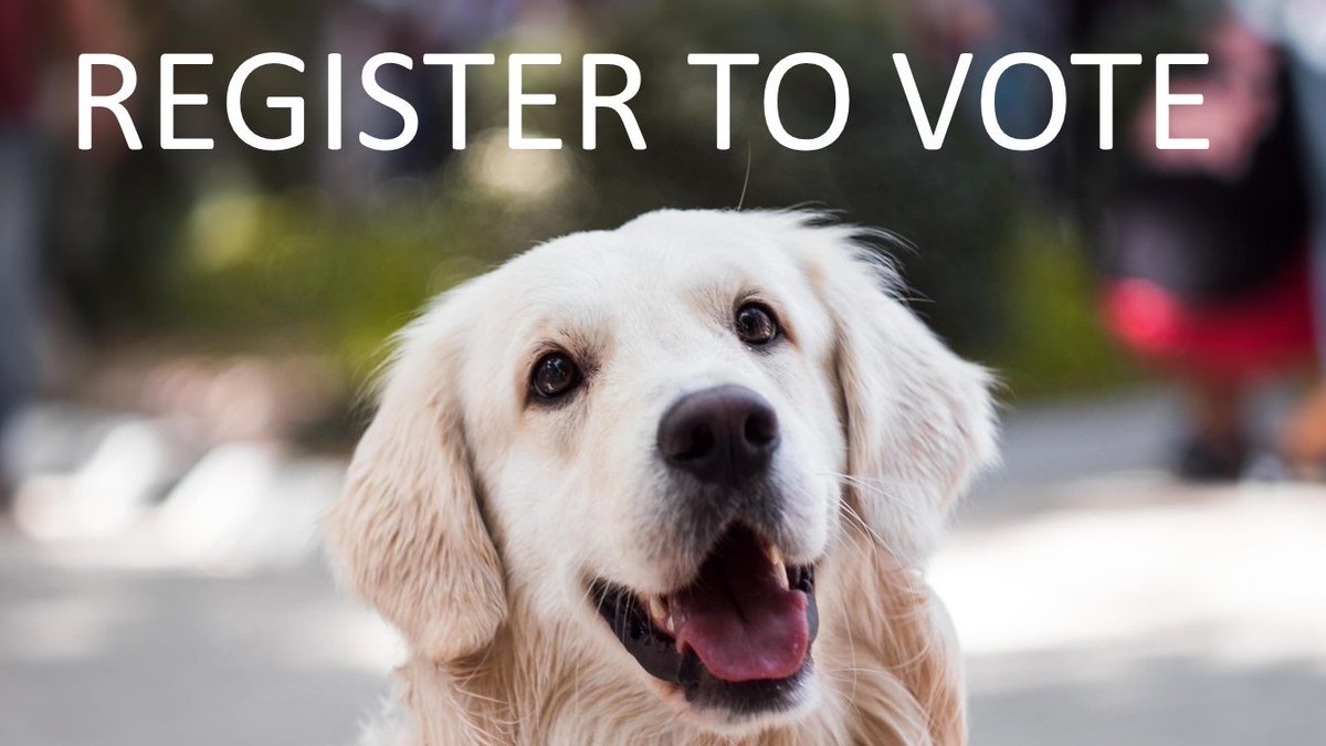 This good doggo says register to vote! Follow the link before 26th Nov: gov.uk/register-to-vo…