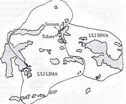 Ucapan Yamin sbg sejarawan setidaknya berdasar pada tiga alasan:Pertama, saat Kerajaan Tidore (yg wilayahnya ada di Maluku) berjaya, banyak dari mereka yg melakukan jual beli, menikah & berkegiatan lain di Papua. Maka dari itu Papua juga merupakan daerah penaklukkan Tidore.