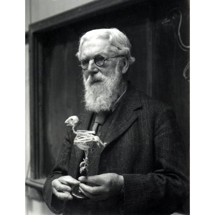 AHRA 2019 Architecture & Collective Life tweet media