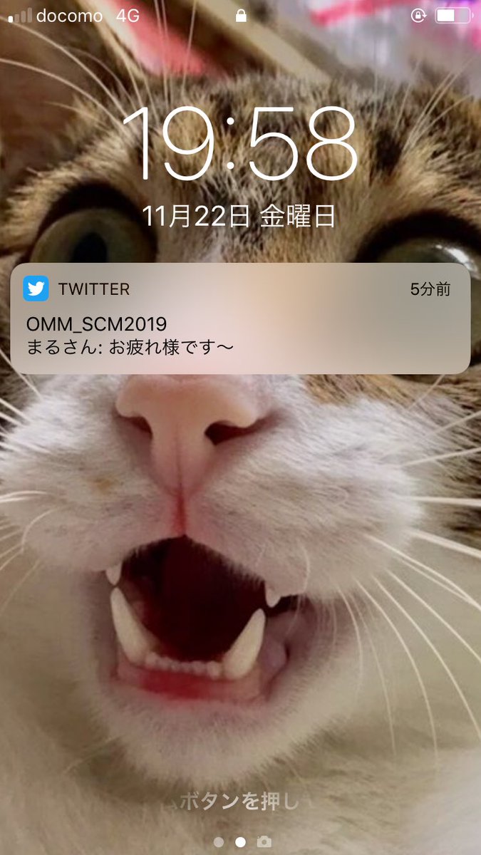 マックベイ Pa Twitter 今の待ち受け 色々と面白いと自画自賛w チャーリー チャーリー元気か