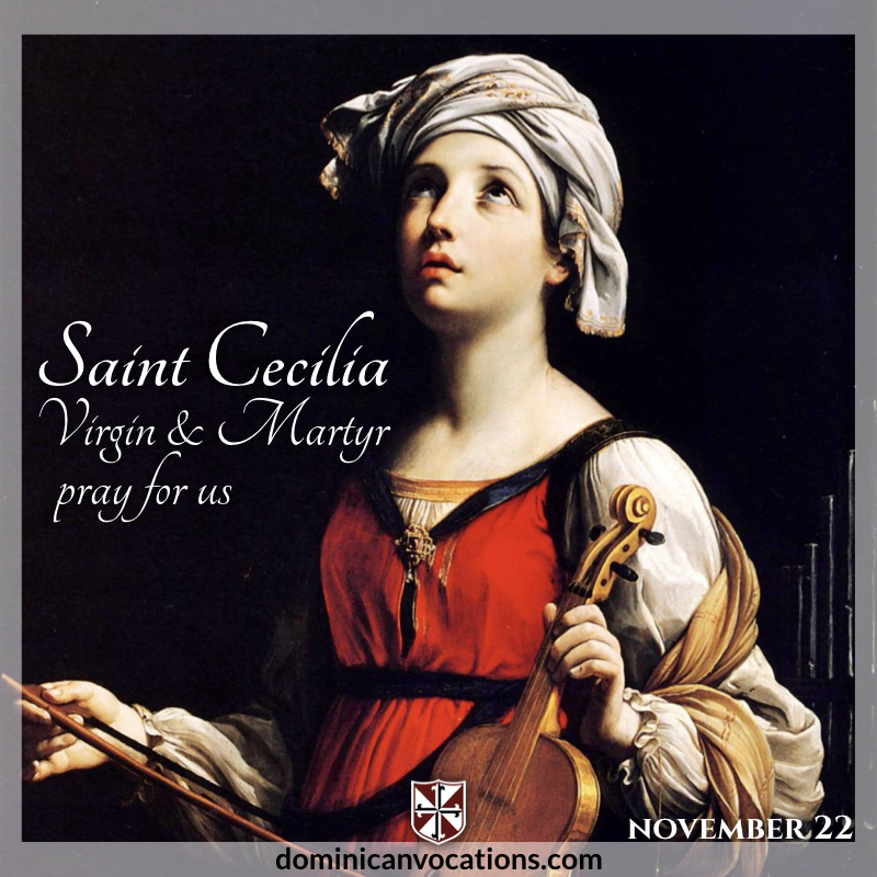 Catching Fire Cecilia