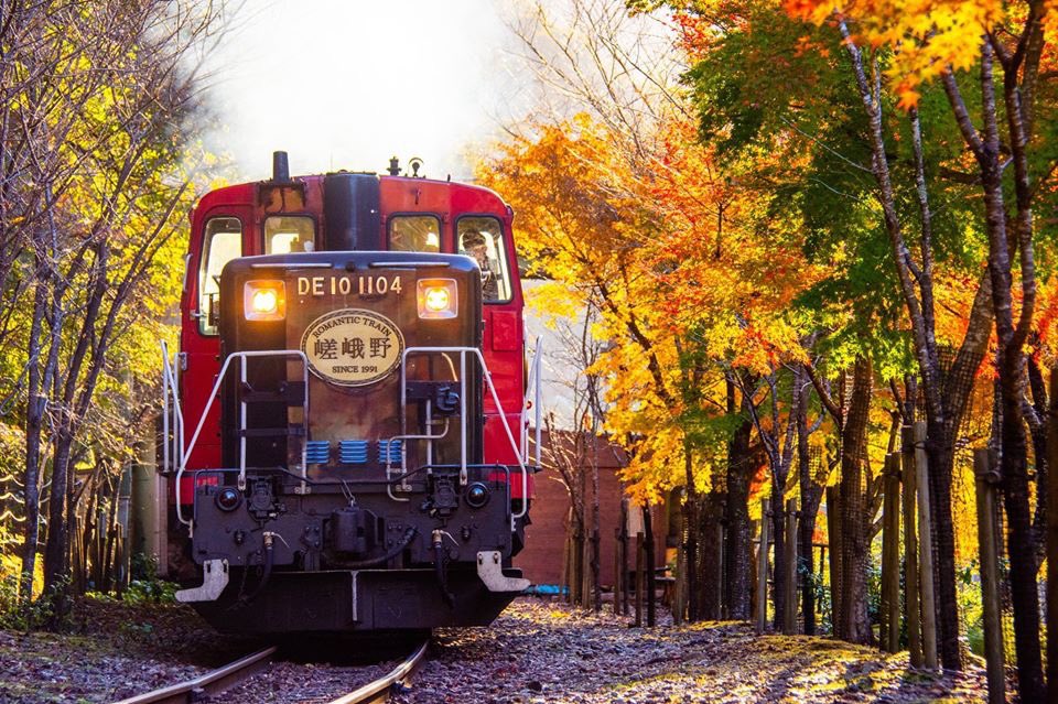 嵯峨野トロッコ列車公式 嵯峨ほづき古都便り 細山です 令和初の紅葉です 嵯峨野トロッコ列車 京都 嵐山 紅葉